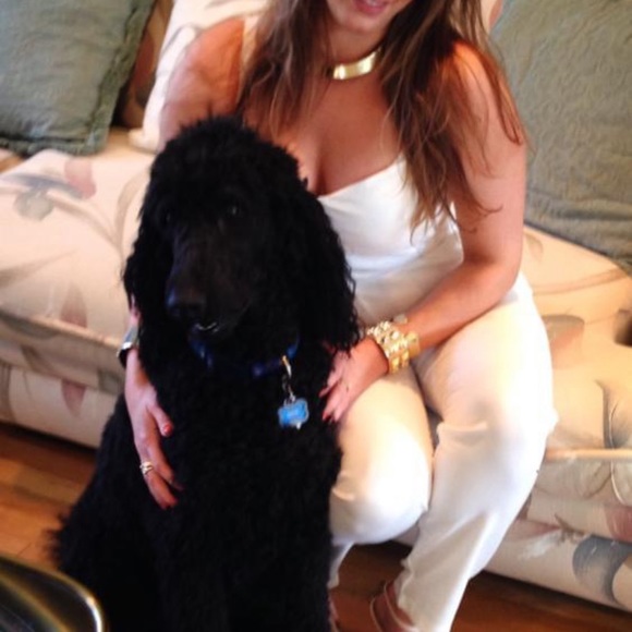 White Jumpsuit with Fitted Bodice - Picture 5 of 8